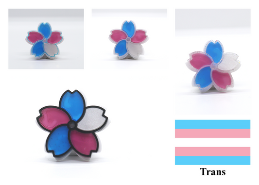 Trans (Magnetic)